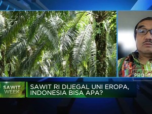 GAPKI: Larangan Impor Sawit Uni Eropa 'Membunuh