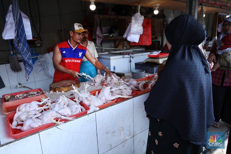 Harga ayam di pasar-pasar tradisional di Jakarta terus mengalami kenaikan selama dua bulan terakhir. (CNBC Indonesia/Tri Susilo)