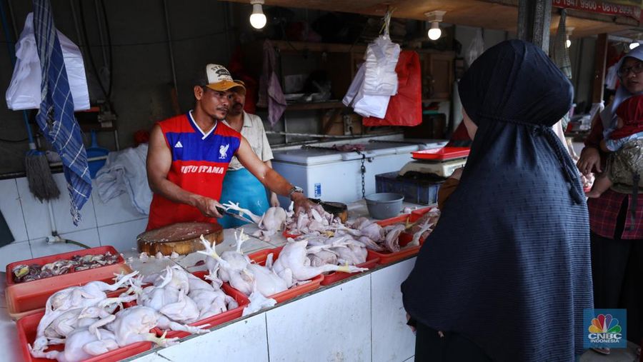 Harga ayam di pasar-pasar tradisional di Jakarta terus mengalami kenaikan selama dua bulan terakhir. (CNBC Indonesia/Tri Susilo)