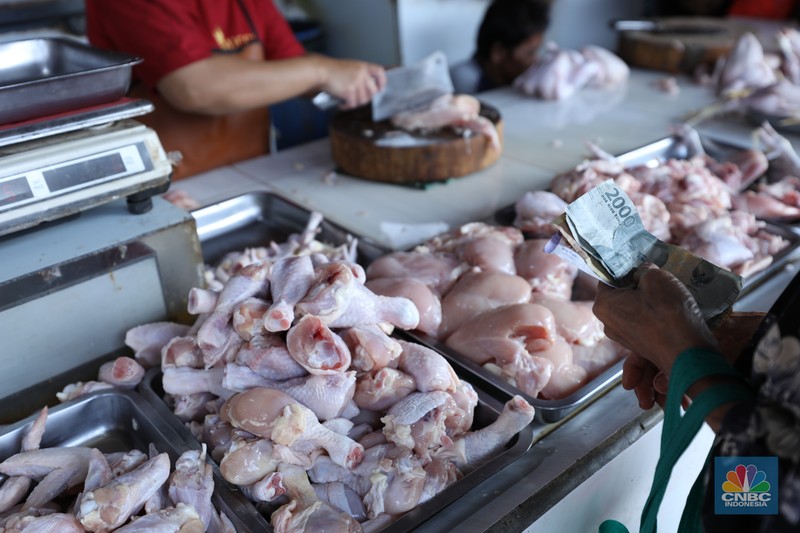 Harga ayam di pasar-pasar tradisional di Jakarta terus mengalami kenaikan selama dua bulan terakhir. (CNBC Indonesia/Tri Susilo)
