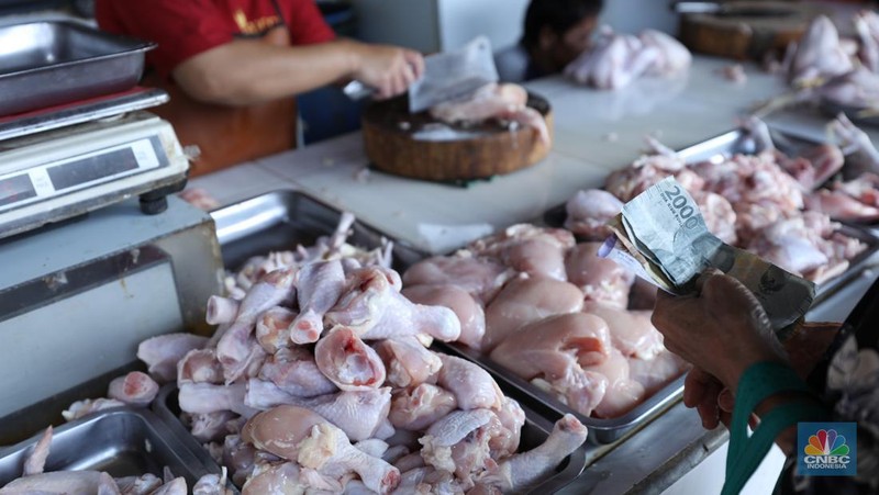 Harga ayam di pasar-pasar tradisional di Jakarta terus mengalami kenaikan selama dua bulan terakhir. (CNBC Indonesia/Tri Susilo)