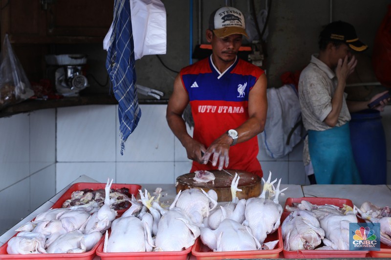Harga Ayam Naik Harga ayam di pasar-pasar tradisional di Jakarta terus mengalami kenaikan selama dua bulan terakhir. (CNBC Indonesia/Tri Susilo)