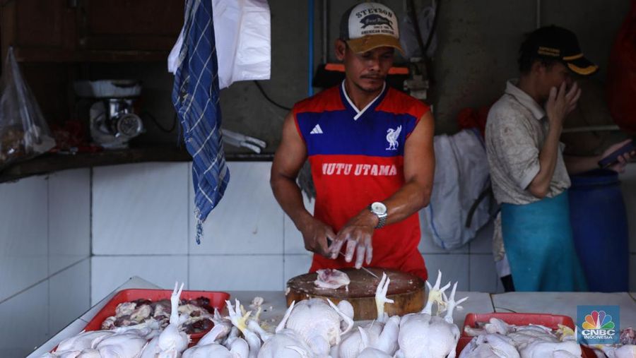 Harga ayam di pasar-pasar tradisional di Jakarta terus mengalami kenaikan selama dua bulan terakhir. (CNBC Indonesia/Tri Susilo)