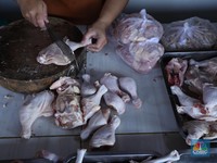Penampakan Harga Ayam Rp 60.000/Kg-Pedagang Mogok Jualan