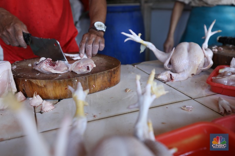 Harga Ayam Naik Harga ayam di pasar-pasar tradisional di Jakarta terus mengalami kenaikan selama dua bulan terakhir. (CNBC Indonesia/Tri Susilo)