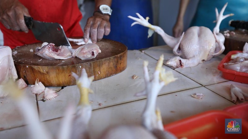 Harga ayam di pasar-pasar tradisional di Jakarta terus mengalami kenaikan selama dua bulan terakhir. (CNBC Indonesia/Tri Susilo)