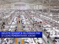 Ada Badai Gelombang PHK di Ujung Pemerintahan Jokowi