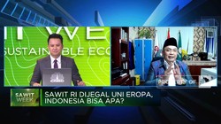 Video: Lawan Uni Eropa! Ini Cara RI Selamatkan Industri Sawit