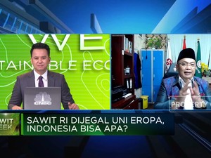 Video: Lawan Uni Eropa! Ini Cara RI Selamatkan Industri Sawit