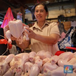 Tak Disangka, Penyebab Harga Daging Ayam Meledak karena Ini