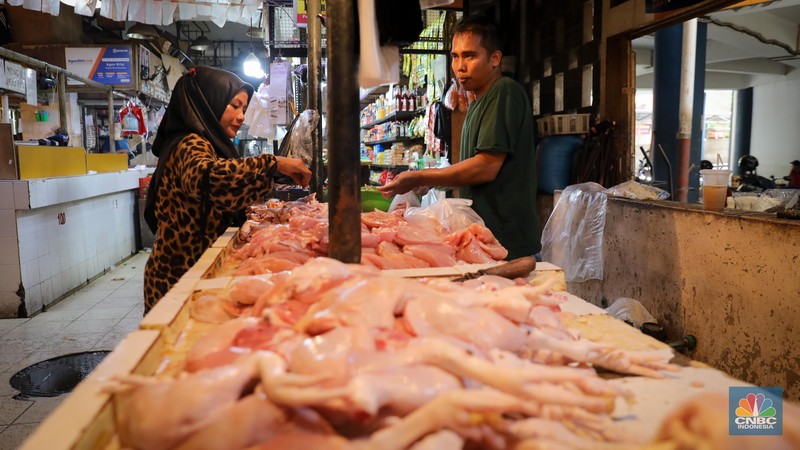 Menjelang hari raya Idul Adha, harga daging ayam di Pasar Senen mengalami peningkatan dalam dua bulan terakhir. (CNBC Indonesia/Faisal Rahman) Menjelang hari raya Idul Adha, harga daging ayam di Pasar Senen mengalami peningkatan dalam dua bulan terakhir. (CNBC Indonesia/Faisal Rahman)