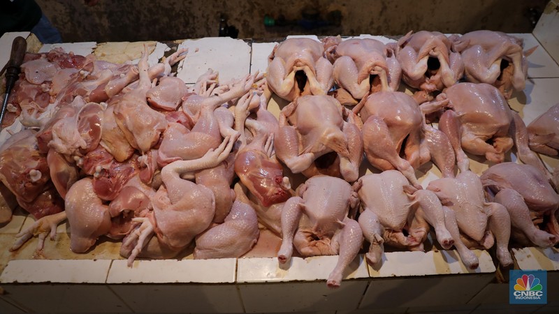 Menjelang hari raya Idul Adha, harga daging ayam di Pasar Senen mengalami peningkatan dalam dua bulan terakhir. (CNBC Indonesia/Faisal Rahman) Menjelang hari raya Idul Adha, harga daging ayam di Pasar Senen mengalami peningkatan dalam dua bulan terakhir. (CNBC Indonesia/Faisal Rahman)