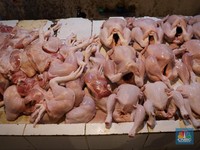 Resmi Berlaku! Termasuk Daging Ayam, Ini Daftar Produk Wajib Halal