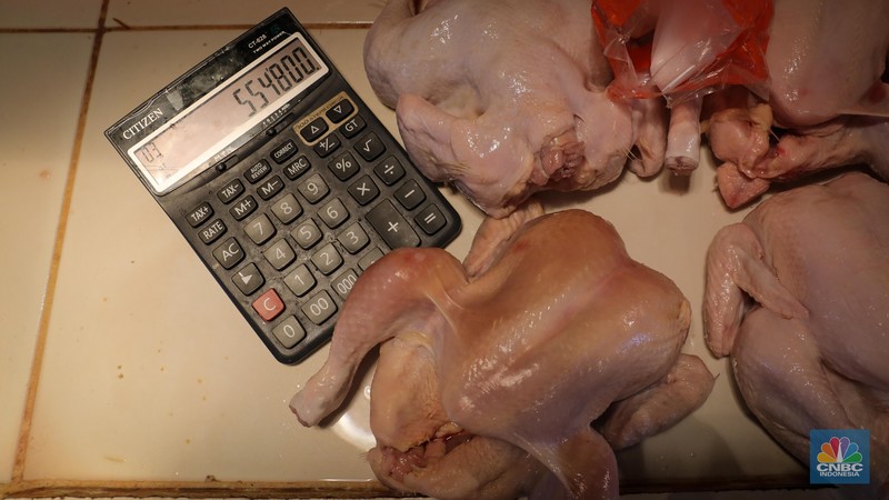 Menjelang hari raya Idul Adha, harga daging ayam di Pasar Senen mengalami peningkatan dalam dua bulan terakhir. (CNBC Indonesia/Faisal Rahman) Menjelang hari raya Idul Adha, harga daging ayam di Pasar Senen mengalami peningkatan dalam dua bulan terakhir. (CNBC Indonesia/Faisal Rahman)