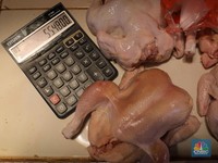 Harga Ayam Pecah Rekor Rp 60 Ribu, Pedagang 'Nangis Darah'