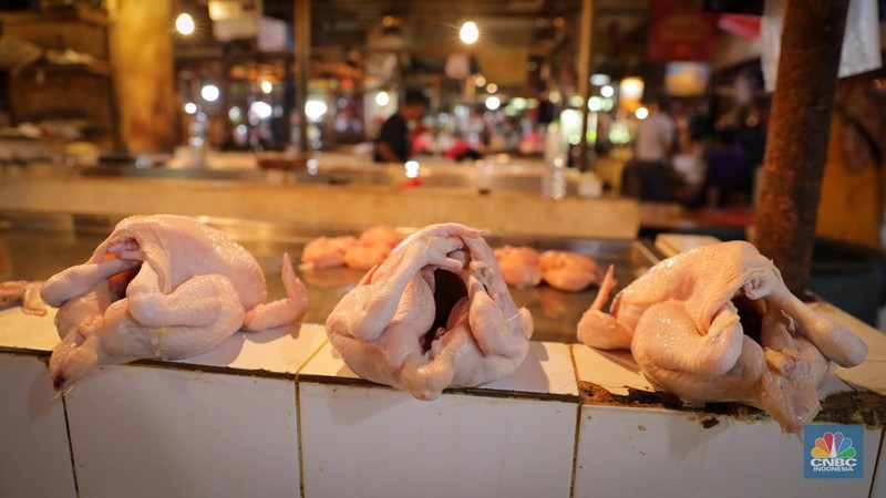 Menjelang hari raya Idul Adha, harga daging ayam di Pasar Senen mengalami peningkatan dalam dua bulan terakhir. (CNBC Indonesia/Faisal Rahman)