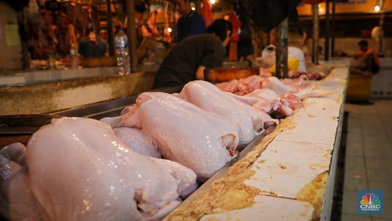 Menjelang hari raya Idul Adha, harga daging ayam di Pasar Senen mengalami peningkatan dalam dua bulan terakhir. (CNBC Indonesia/Faisal Rahman) Menjelang hari raya Idul Adha, harga daging ayam di Pasar Senen mengalami peningkatan dalam dua bulan terakhir. (CNBC Indonesia/Faisal Rahman)