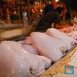 Harga Daging Ayam 'Mahal Gila', Ternyata Ini Penyebabnya