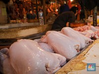 Sempat Tembus Rp50.000/Kg, Ternyata Segini Harga Wajar Ayam