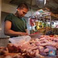 Peternak Ungkap Biang Kerok Daging Ayam Sudah Ganti Harga
