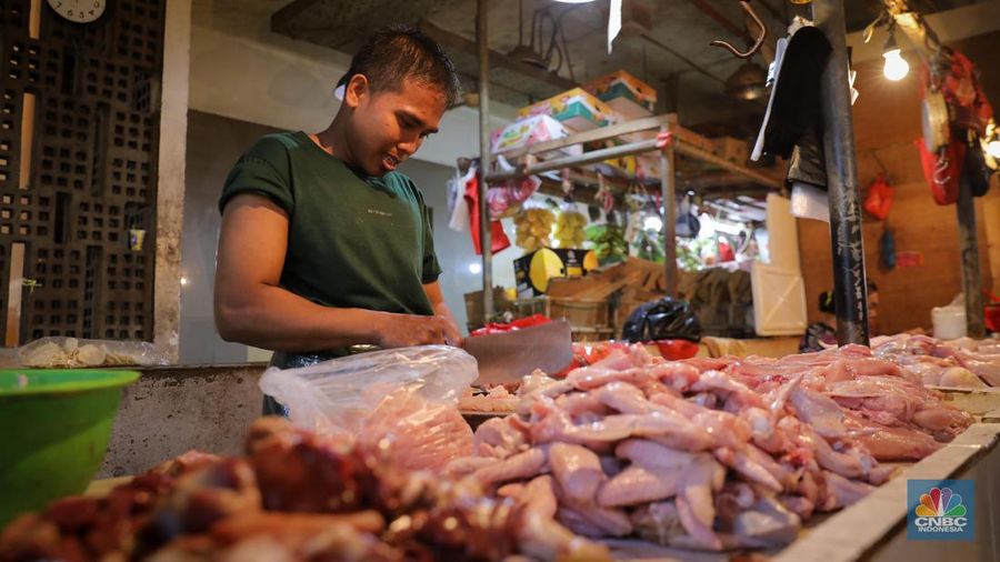 Menjelang hari raya Idul Adha, harga daging ayam di Pasar Senen mengalami peningkatan dalam dua bulan terakhir. (CNBC Indonesia/Faisal Rahman)