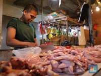 Peternak Ungkap Biang Kerok Daging Ayam Sudah Ganti Harga