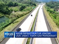 Menerka Nasib PSN Usai Jokowi Lengser di 2024