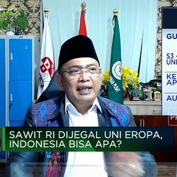 Eropa Jegal Sawit RI, Petani Sawit Beri Respons Tak Terduga