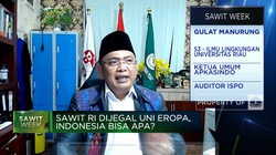 Petani Sawit: UU Anti Deforestasi Uni Eropa Melanggar HAM!