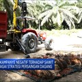 Video: Sederet Hambatan Sawit Indonesia di Pasar Eropa