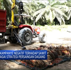 Alasan Uni Eropa Cari Ribut Jegal Sawit RI Kini Terungkap