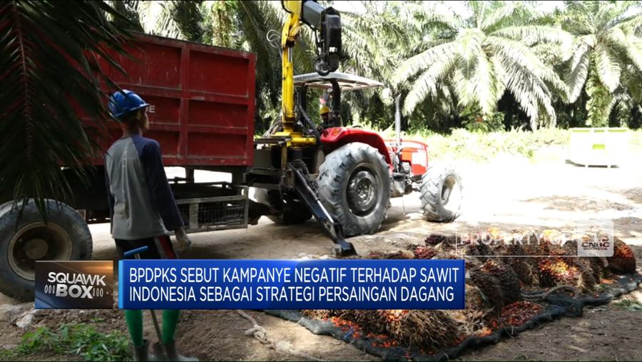 Sawit Indonesia Hadapi Berbagai Hambatan Di Pasar Eropa