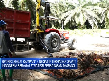 Video: Sederet Hambatan Sawit Indonesia di Pasar Eropa
