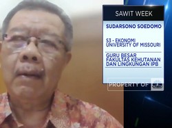Video: "Senjata" RI Hadapi Diskriminasi Sawit Oleh Uni Eropa
