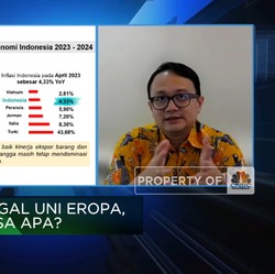 Tidak Takut Lawan UE, Pemerintah Amankan Sawit Pakai Cara Ini
