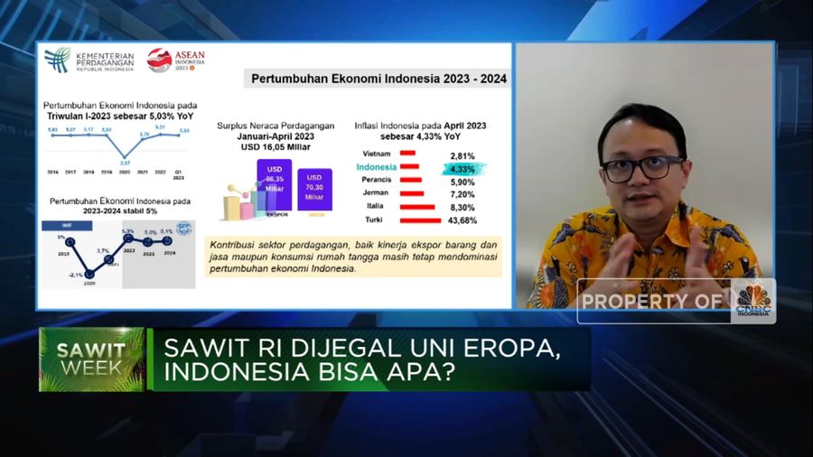 Tegas! Ini Cara RI Lawan Diskriminasi Sawit Oleh Uni Eropa (CNBC Indonesia TV)