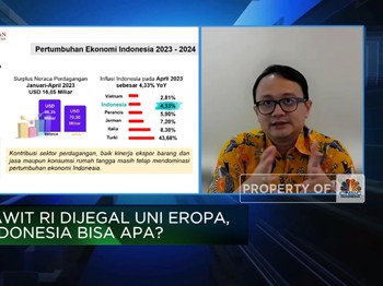 Tidak Takut Lawan UE, Pemerintah Amankan Sawit Pakai Cara Ini