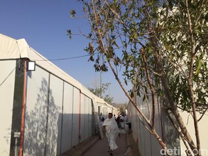Jemaah Haji Diimbau Tak Keluar Tenda Siang Hari Saat di Arafah