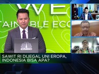 UU Anti Deforestasi Eropa Disahkan, Nasib Sawit RI Bagaimana?