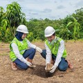 Pakai Strategi Ini, PTBA Tegaskan Komitmen Turunkan Emisi