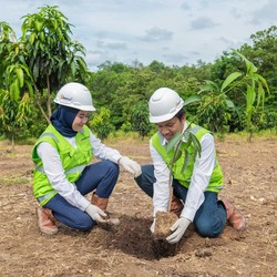 Pakai Strategi Ini, PTBA Tegaskan Komitmen Turunkan Emisi