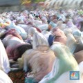 Bacaan Doa Setelah Sholat 5 Waktu, Mari Amalkan Setiap Hari