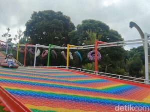 Berwisata ke Taman Bunga New Celosia Semarang: Ini Harga Tiket dan Daya Tarik