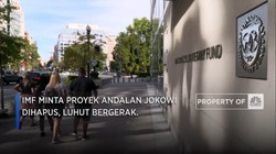 IMF Minta Proyek Andalan Jokowi Dihapus, Luhut Bergerak