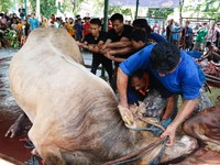 Jadwal Idul Adha 2024 Versi Muhammadiyah, NU dan Pemerintah