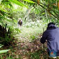 Super Langka! Kawah Meteor Purba yang Ditemukan di Jabar