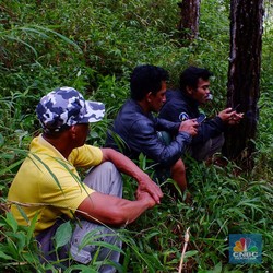 Penemuan Kawah Meteor: Misteri Lingkaran Pohon Bambu di Hutan