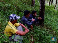 Penemuan Kawah Meteor: Misteri Lingkaran Pohon Bambu di Hutan