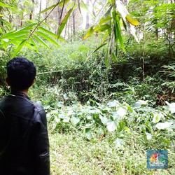 Penampakan Lokasi Kawah Raksasa Meteor Purba di Jabar Selatan