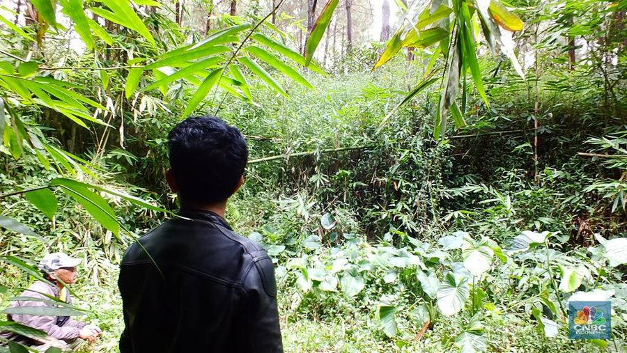 Penemuan kawah meteor di Jabar Selatan. (CNBC Indonesia/Suhendra)